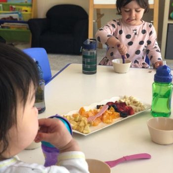 daycare-bayarea-santaclara-popsicle-land-fresh-healthy-snacks-min