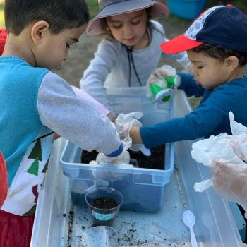 planting-seeds-experiment-gardening-popsicle-land