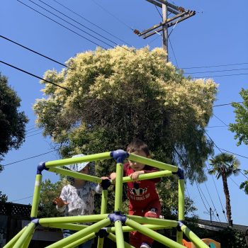 popsicle-land-daycare-childcare-bay-area